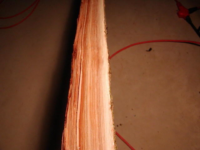 more elm