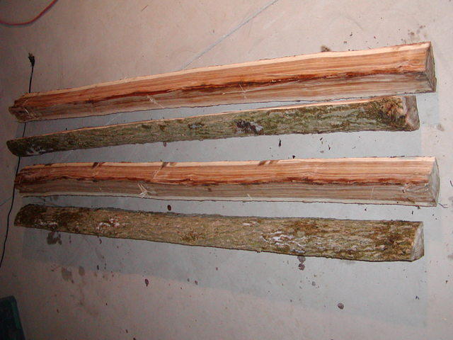 more elm