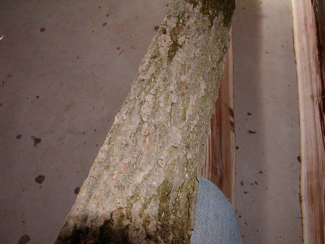 P2260008