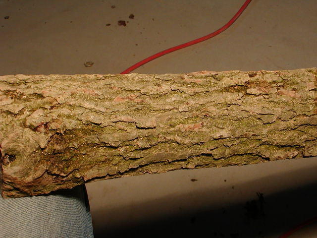 P2260009