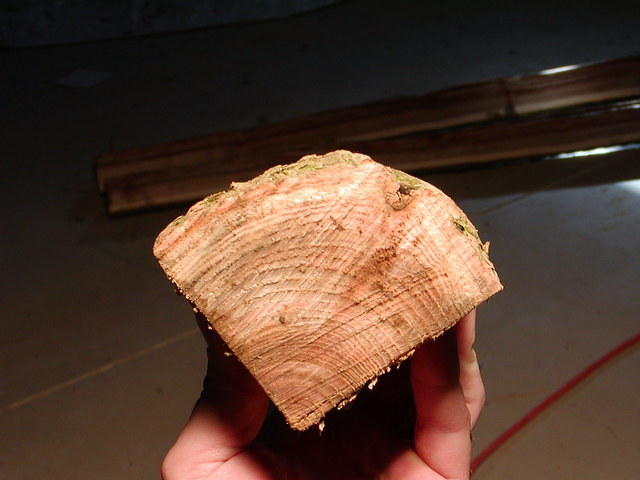 P2260010