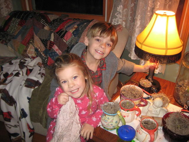 IMG 3193