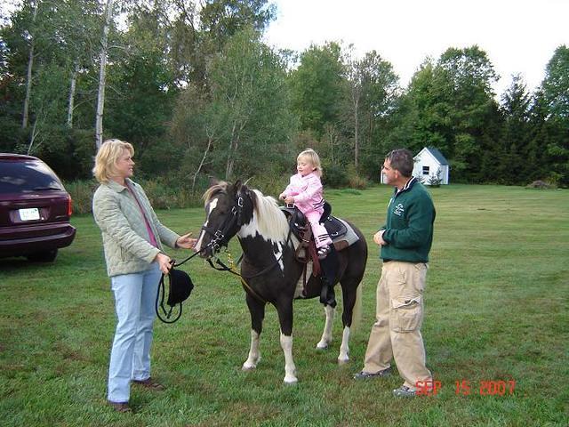 calli pony one