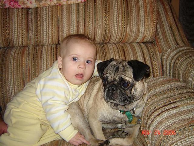 josie and scotty
