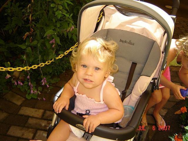 josie zoo