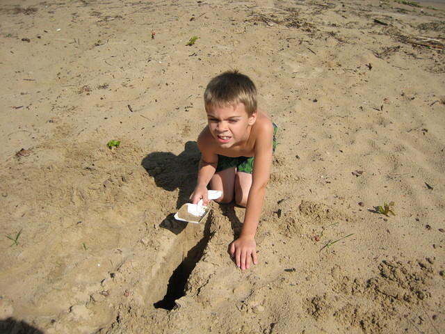 summer 003