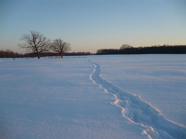 Wed Jan 21 06:50:28 2009