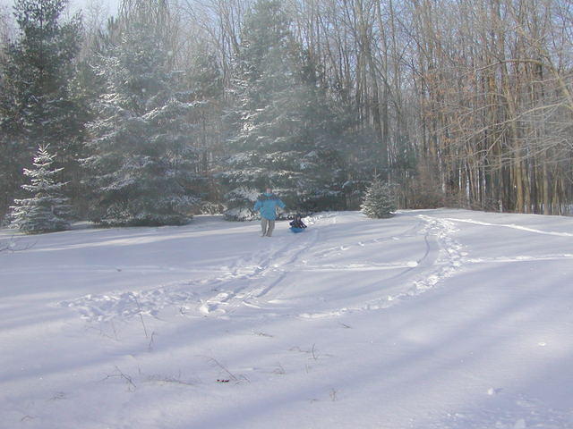 PC240275