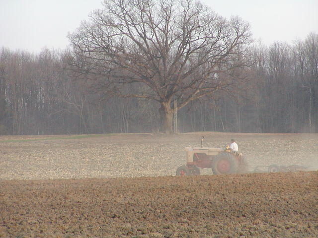 P4190082