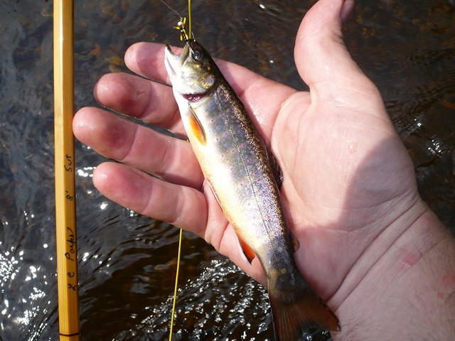 Mon Jun 18 22:53:20 2007