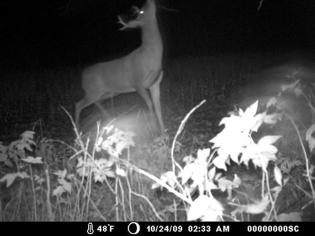 Sat Oct 24 02:33:00 2009