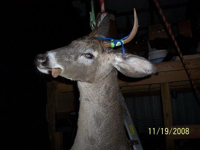 Thu Nov 20 12:57:38 2008
