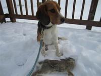 Mon Jan 17 05:22:52 2011