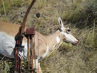 Mick's doe.