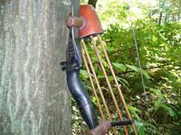 Bow photos