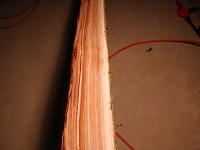 more elm
