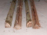 more elm