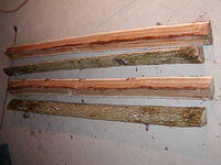 more elm