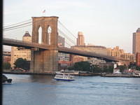 IMG 4429