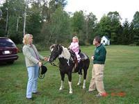 calli pony one