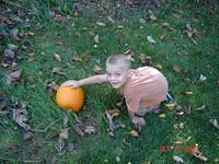 josh garden three