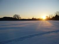 Wed Jan 21 06:50:27 2009