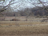 Spring 2006