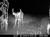 Mon Sep  6 04:26:01 2010