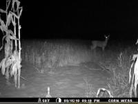 Wed Sep 15 21:18:01 2010