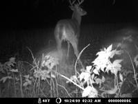 Sat Oct 24 02:32:00 2009
