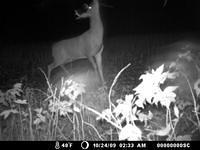 Sat Oct 24 02:33:00 2009