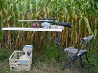 bench (Small)