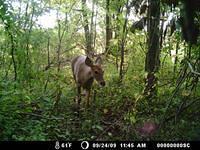 Thu Sep 24 11:45:00 2009