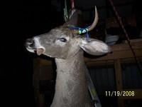 Thu Nov 20 12:57:38 2008