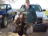 two turkeys